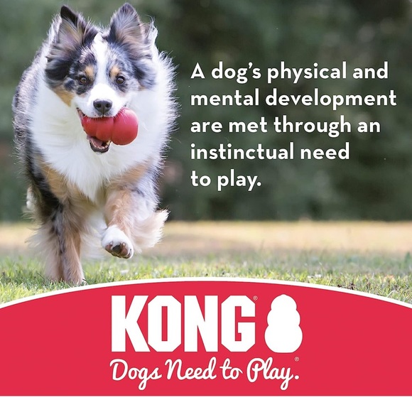 KONG BALL‼️MED/LARGE - Picture 3 of 7